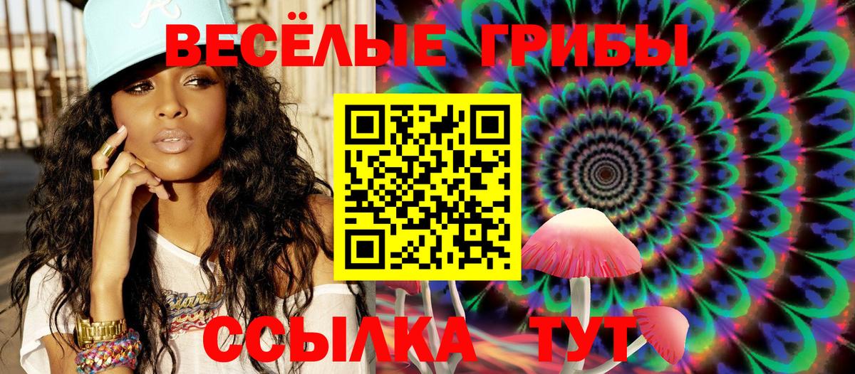 Галлюциногенные грибы Psilocybe  Вход с VPN  Минеральные Воды 
